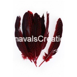 Parelhoen veren Rood