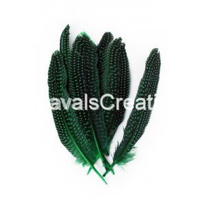 Parelhoen veren Groen