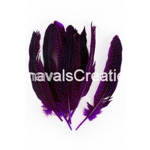 Parelhoen veren Paars