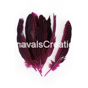 Parelhoen veren Pink