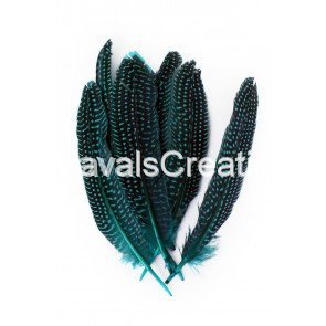 Parelhoen veren turquoise