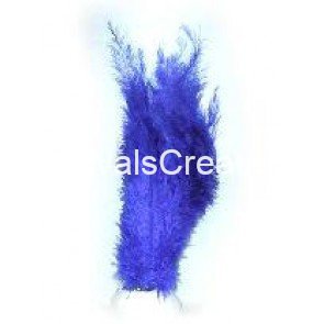 Struisvogel pluim blauw