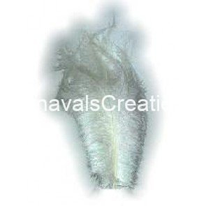 Struisvogel pluim wit