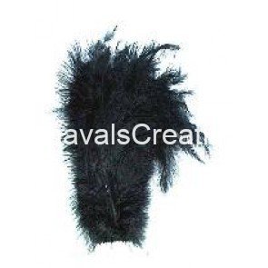 Struisvogel pluim zwart