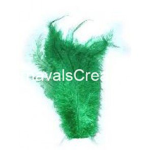 Struisvogel pluim groen