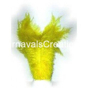 Struisvogel pluim geel