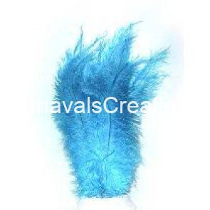 Struisvogel pluim turquoise