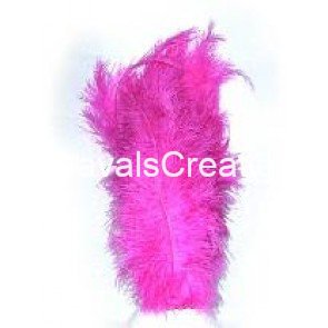 Struisvogel pluim pink