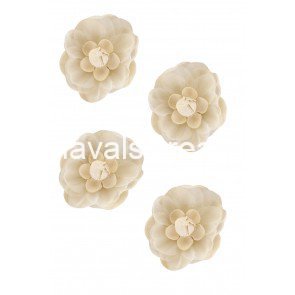 Decoratie bloem pastel wit