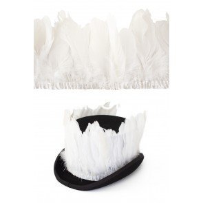 Ganzenveren op band wit