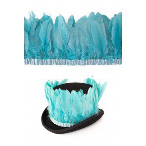 Ganzenveren op band aqua