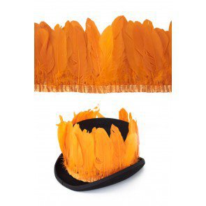 Ganzenveren op band oranje