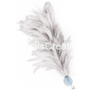 Verenpluim wit